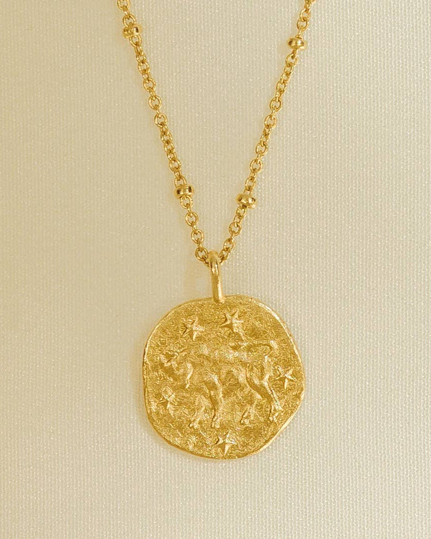 Written in the Stars Zodiac Necklace
