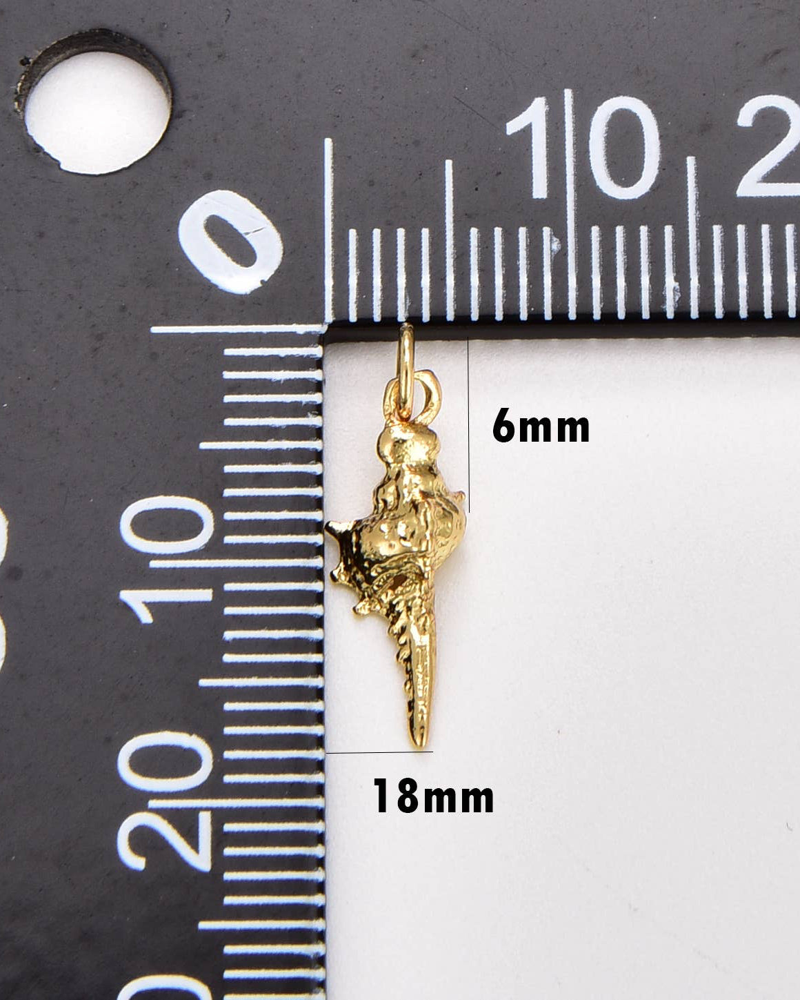 Conch Sea Shell Charm