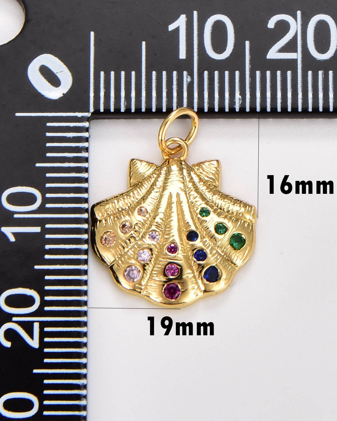Rainbow Sea Shell Clam Charm