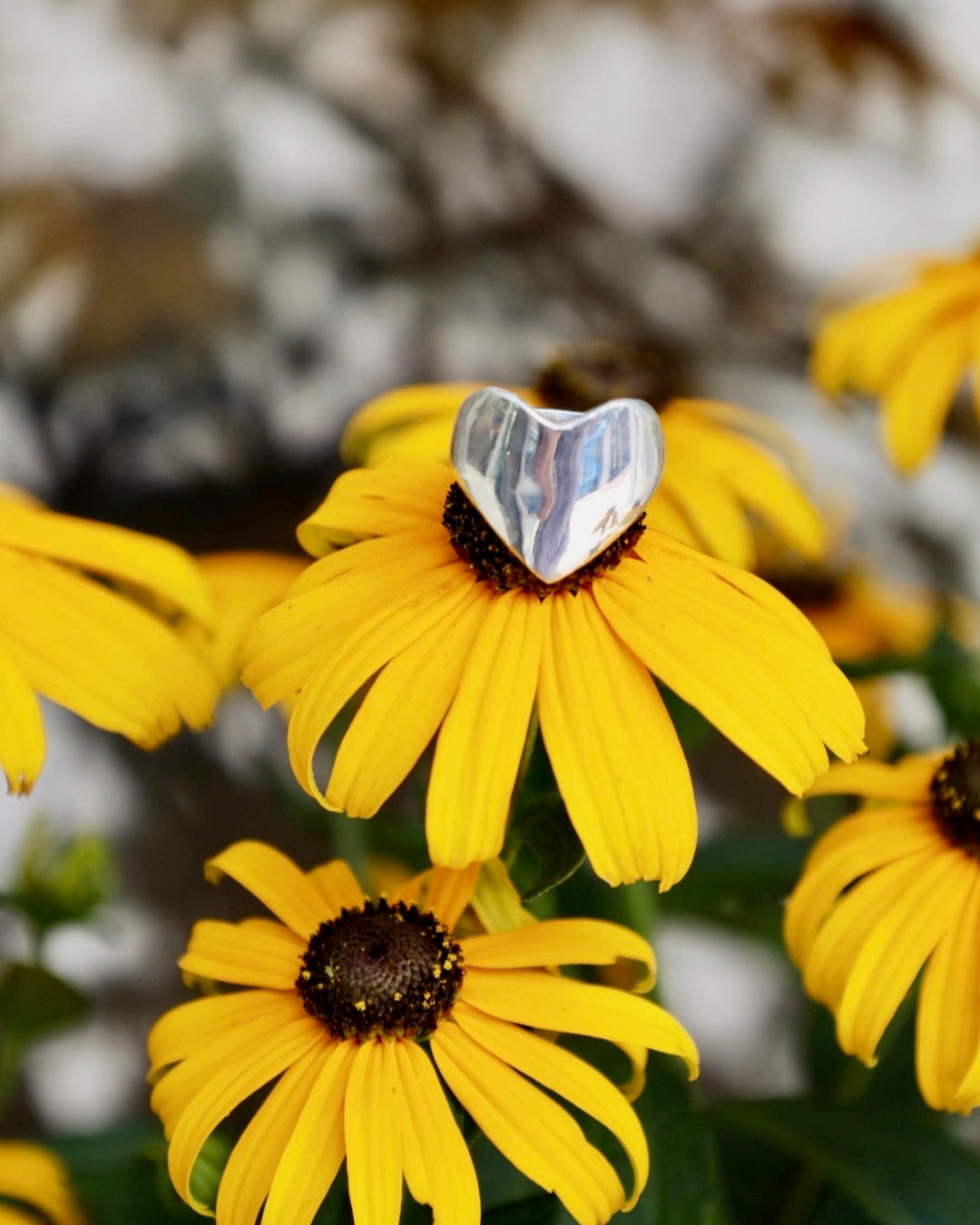 Eros Heart Signet Ring