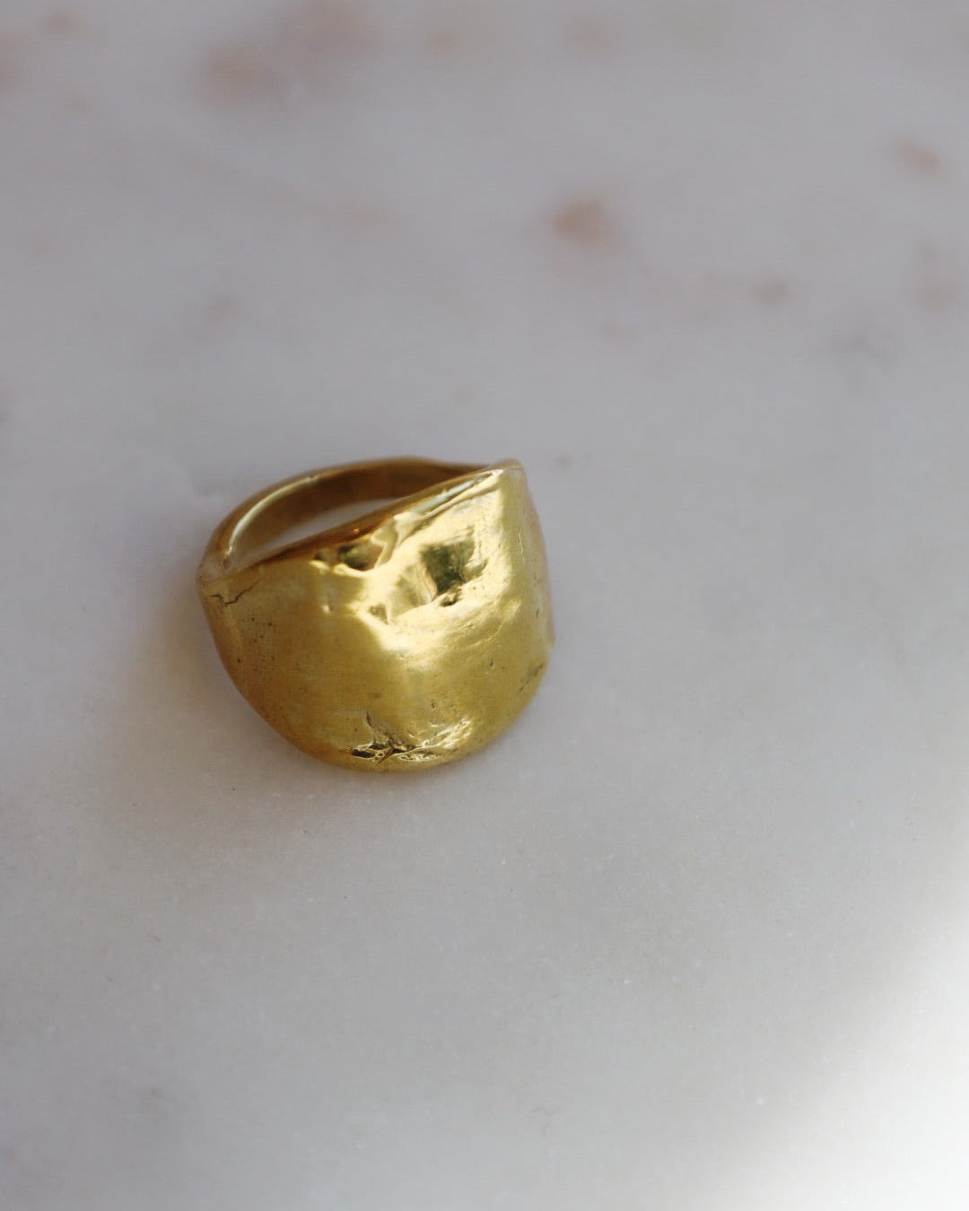 The Protector Ring