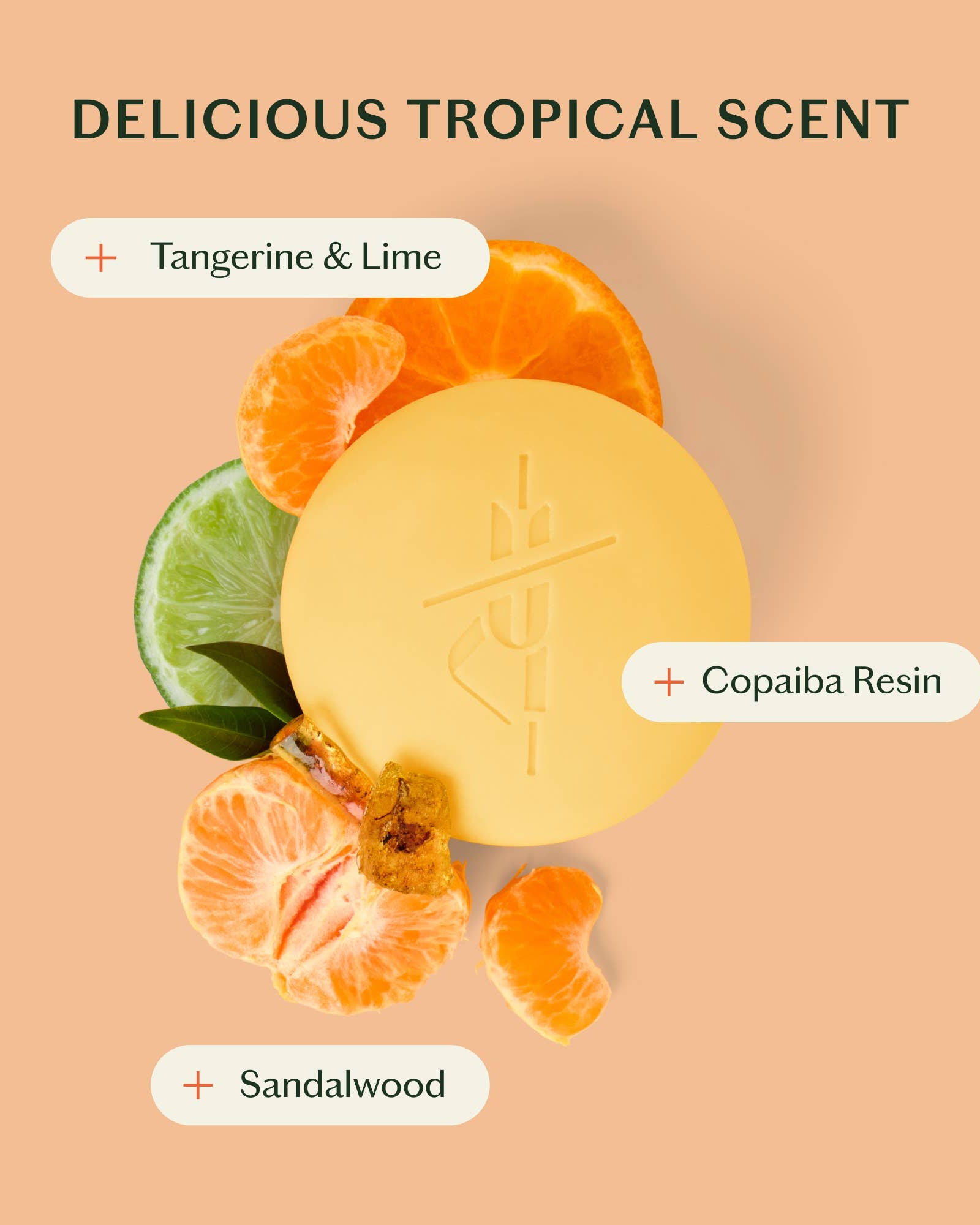 The Sun Stone | After Sun Balm & Lotion Bar