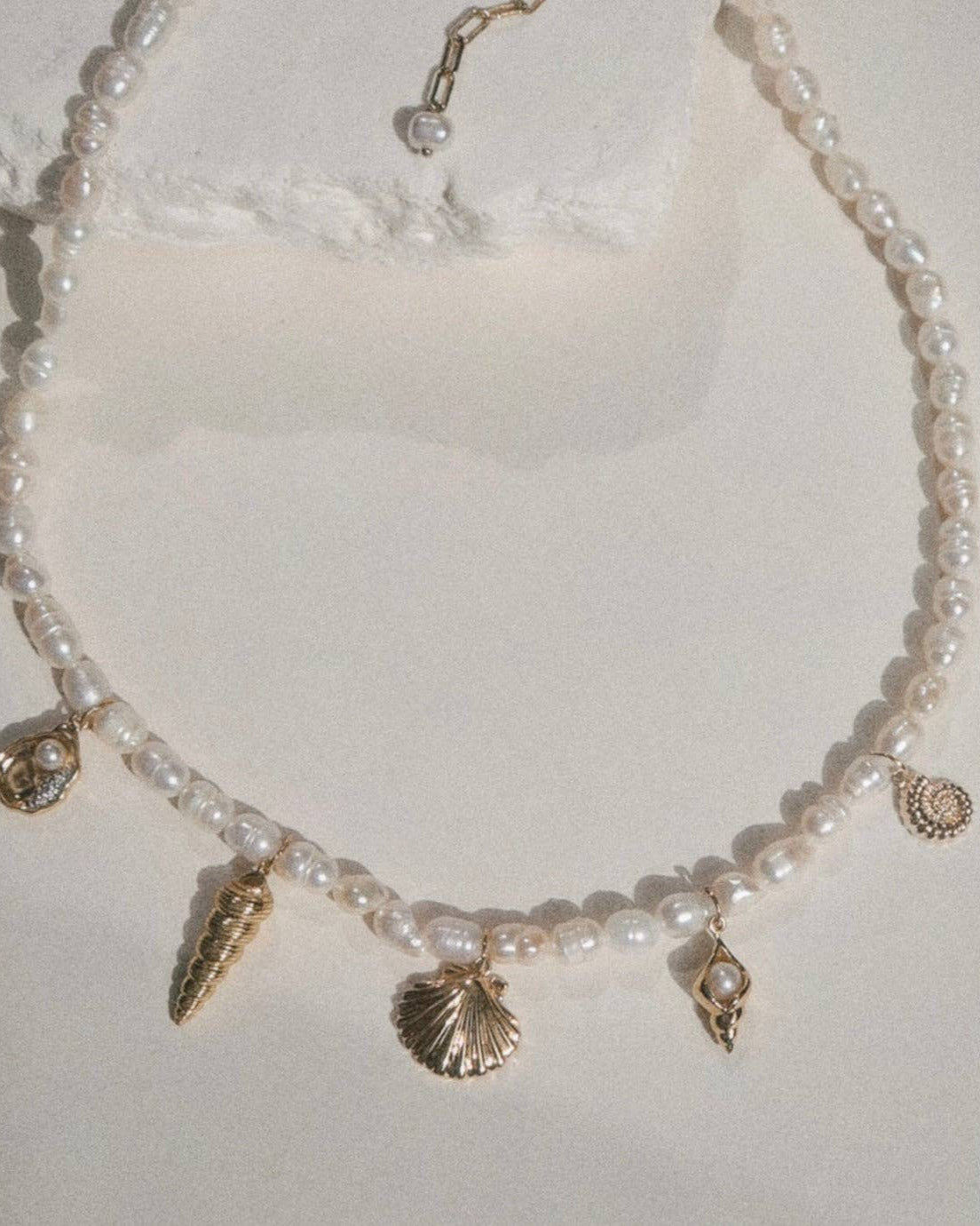 Nori Shell Charm