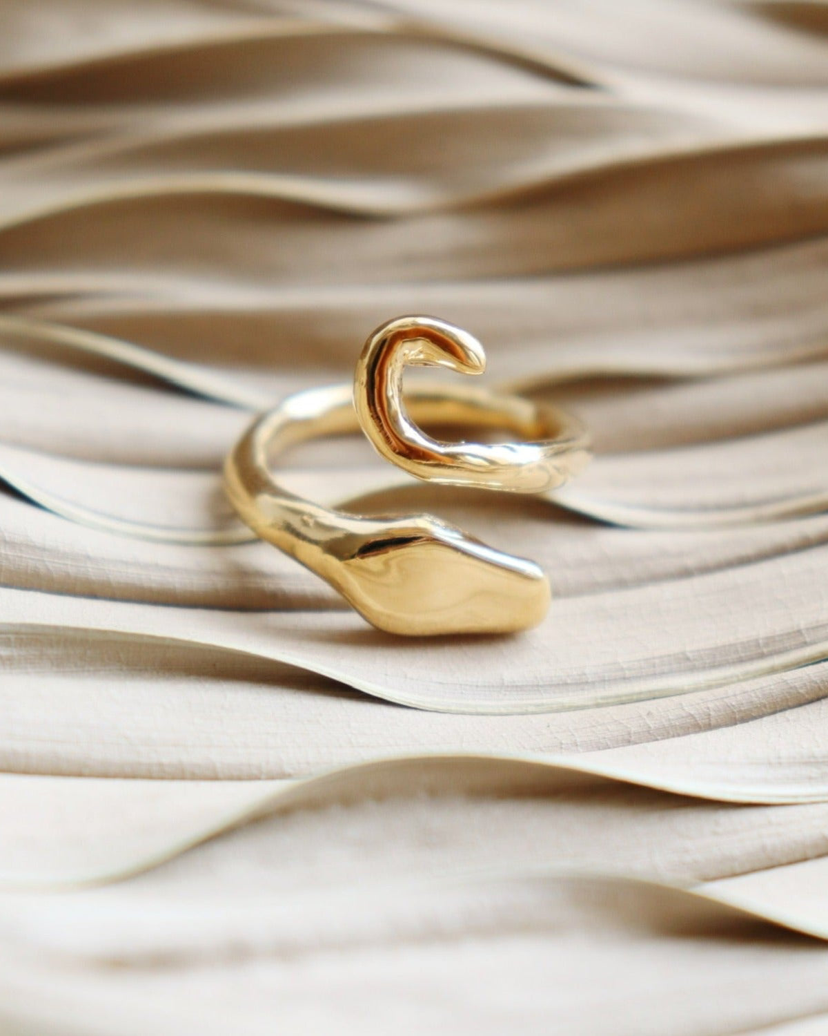 Serpent Guardian Wrap Ring