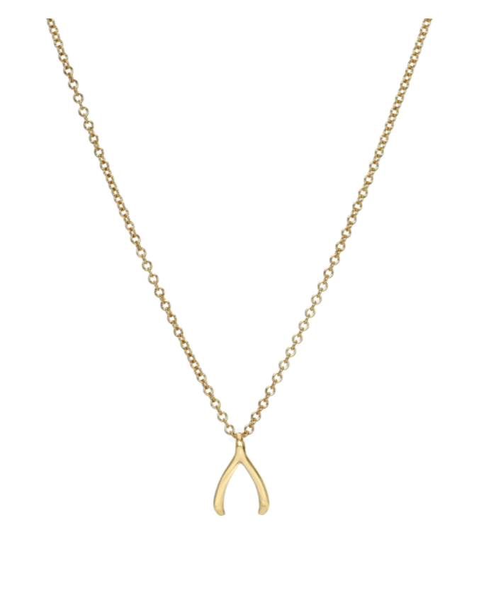 Mini Wishbone Necklace