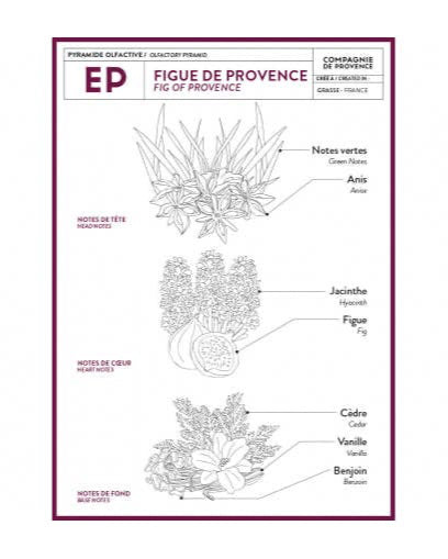 Liquid Marseille Soap Fig of Provence 10 fl oz Plastic