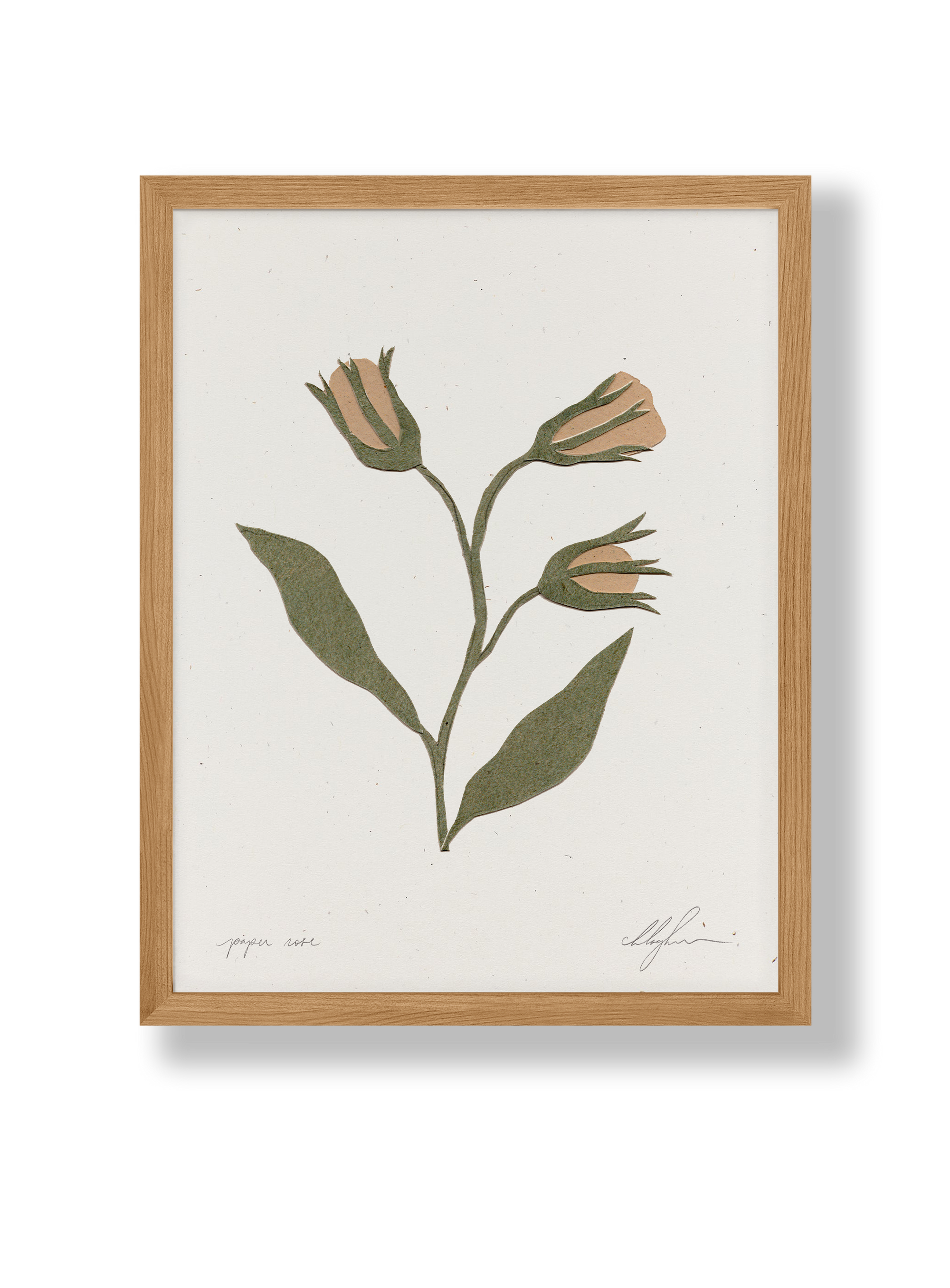 Paper Rose