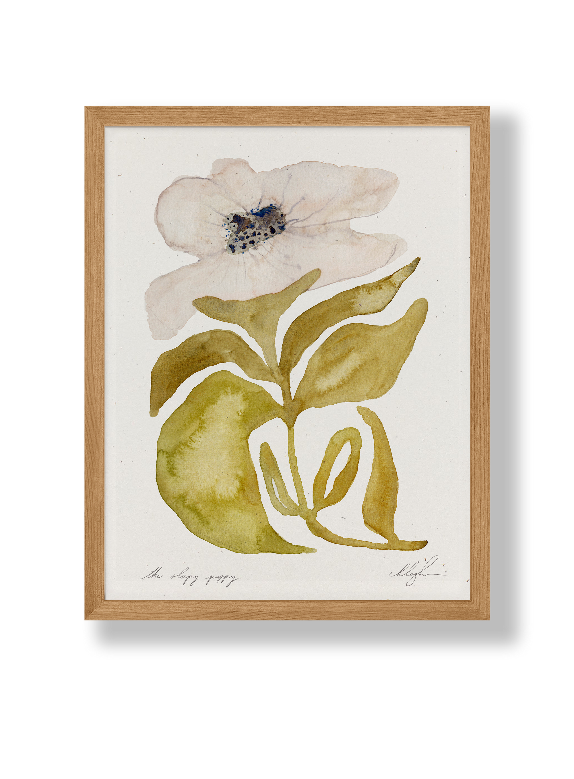 Poppy