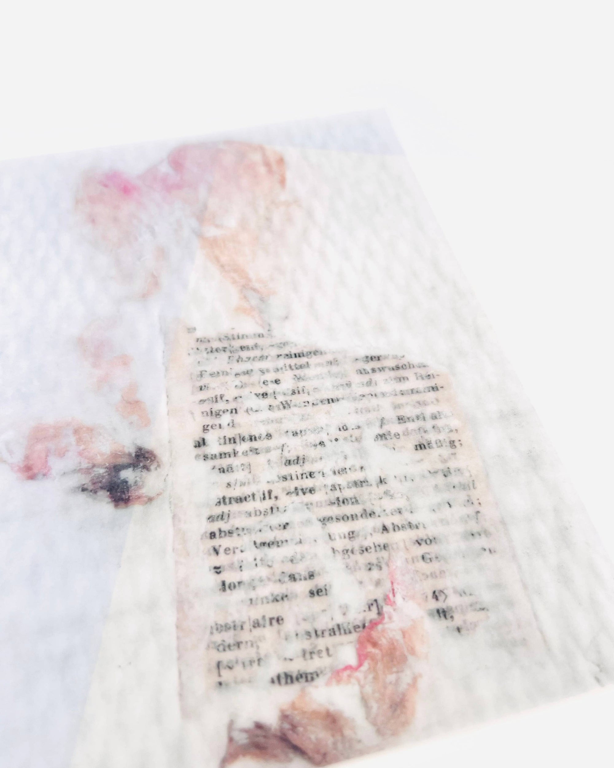 Transparent Papers – Botanical Series