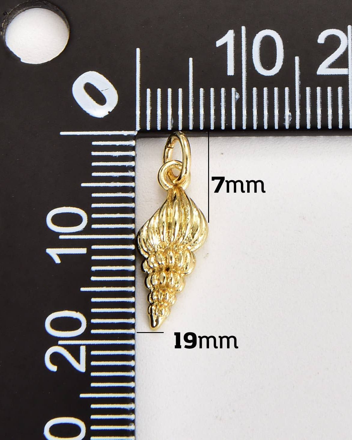 Snail Sea Shell Charm