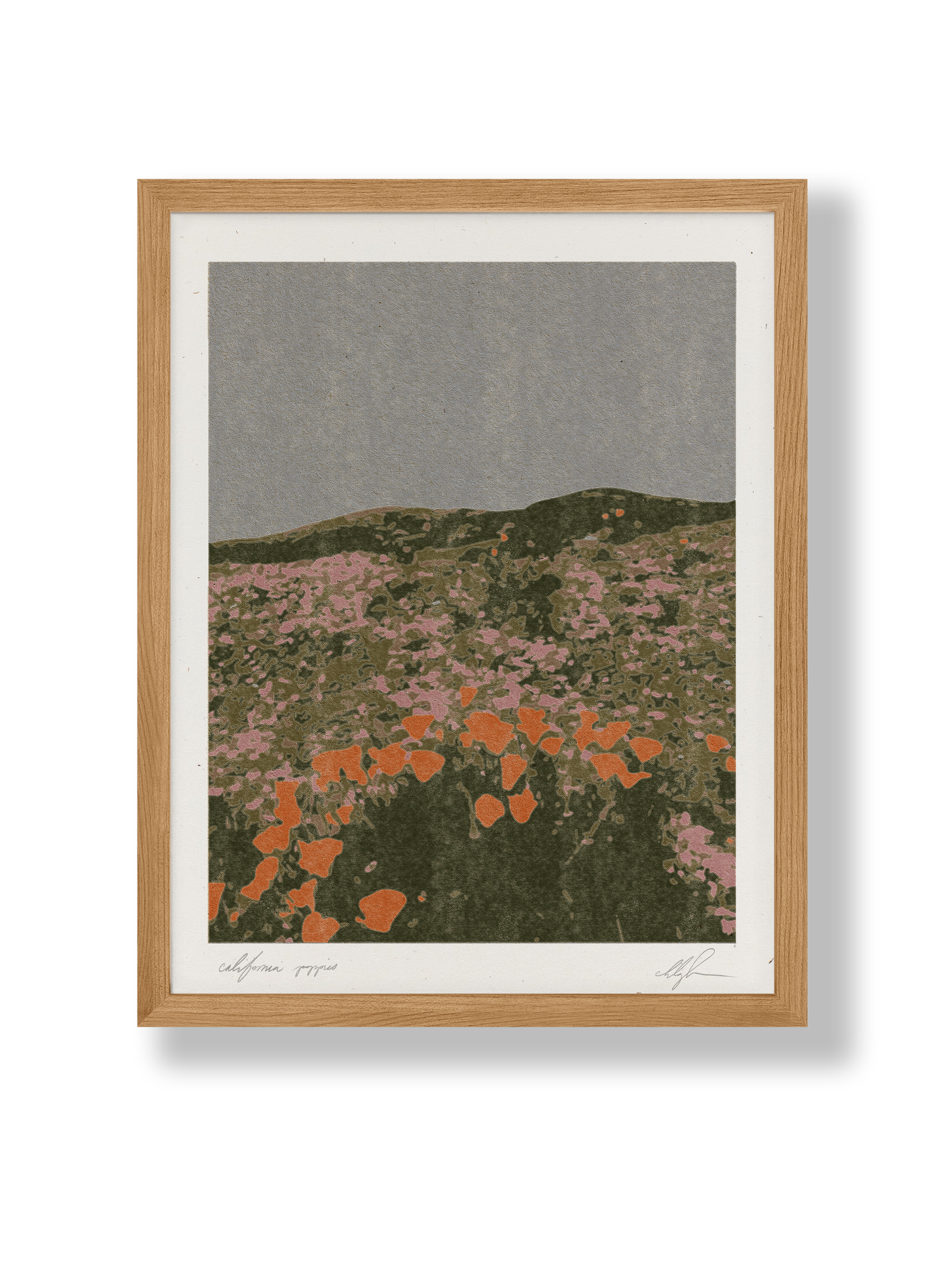 California Poppies