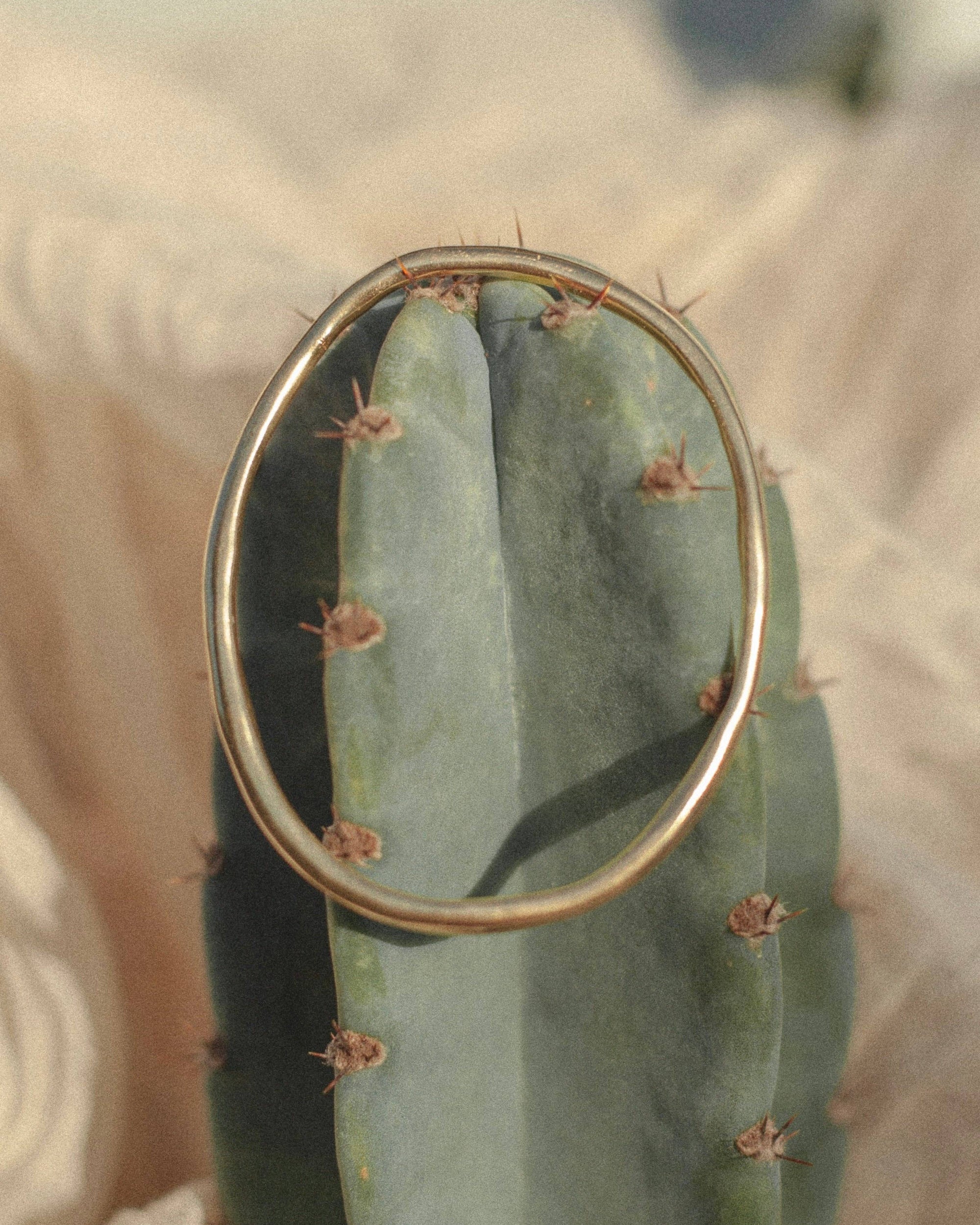 Ursa Bracelet