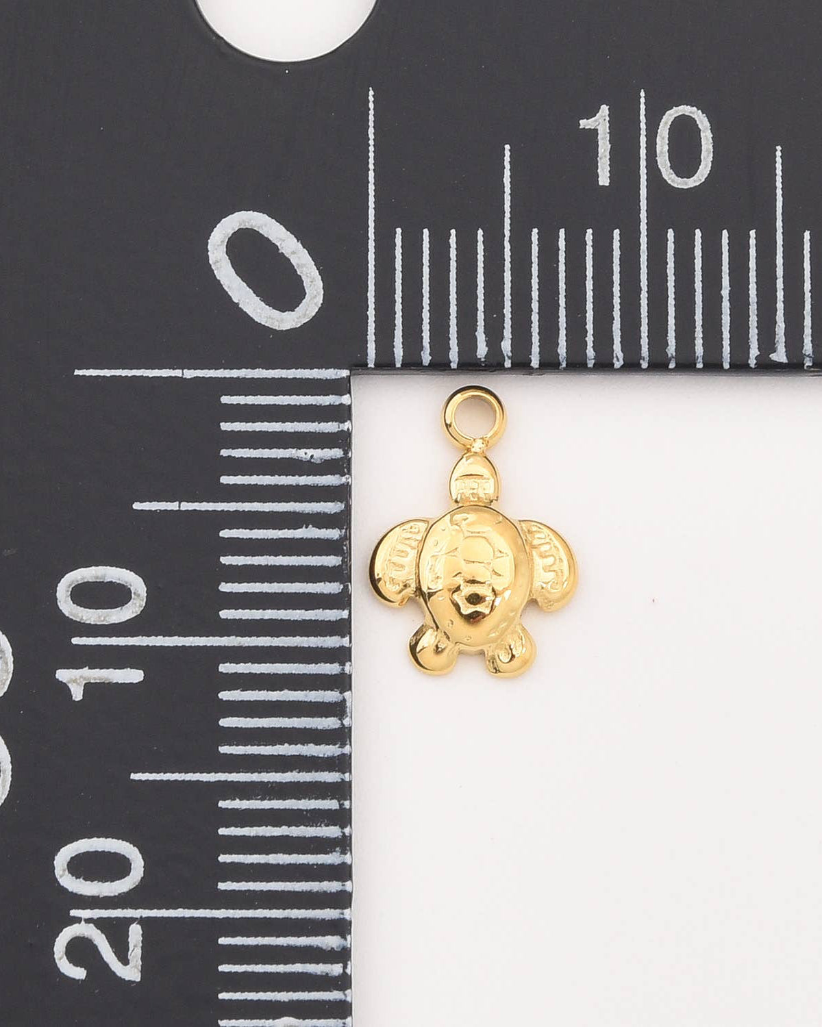 Turtle Charm