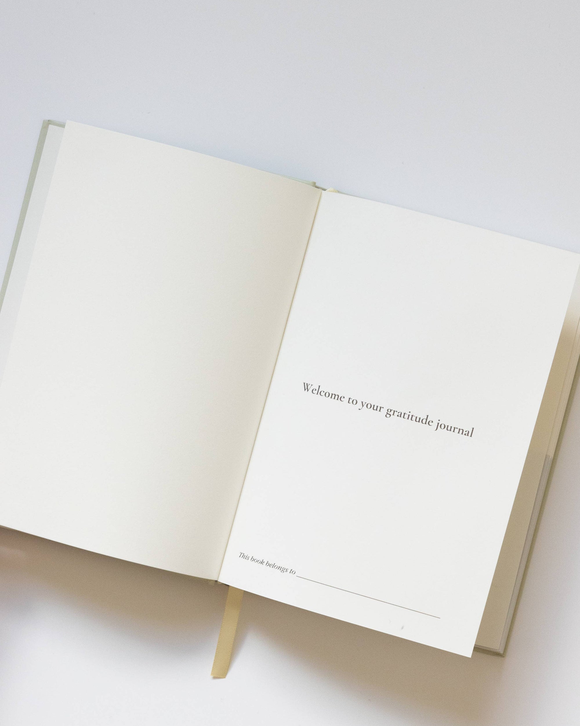 My Gratitude Journal