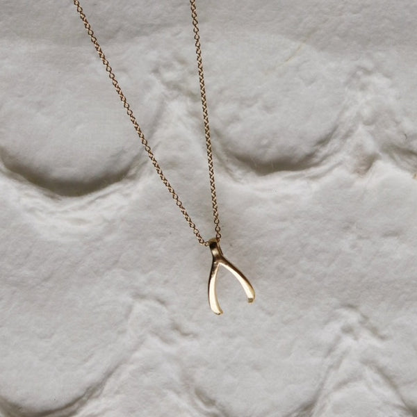 Mini Wishbone Necklace