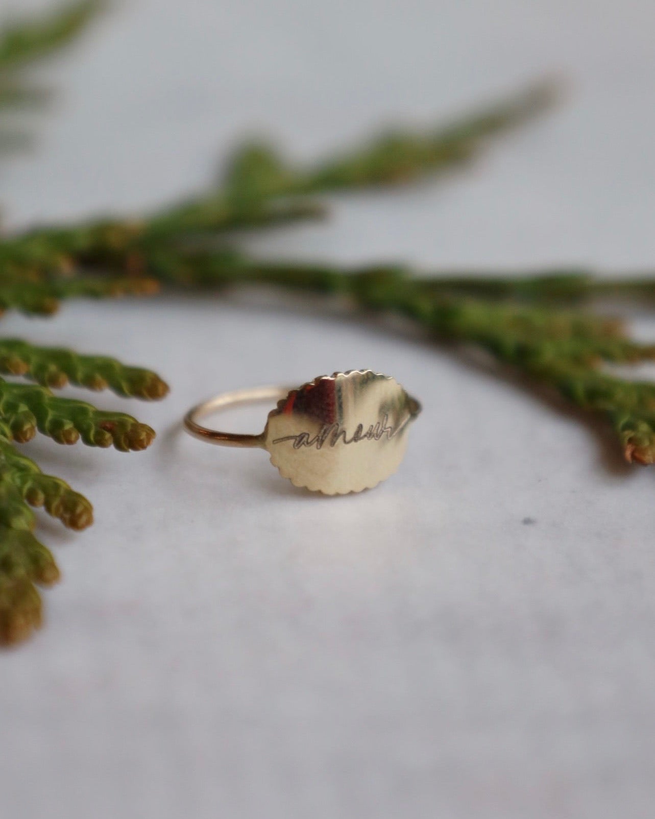 "Amore" Bubble Signet Ring