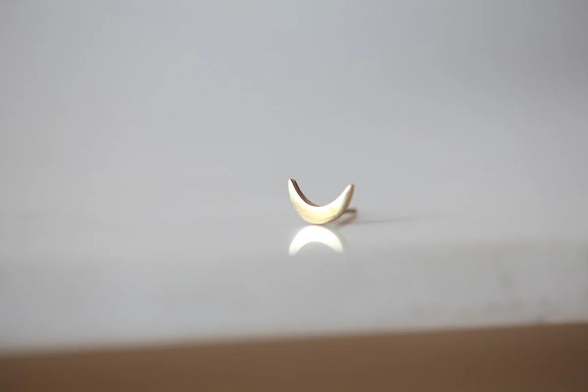 Moon Earrings