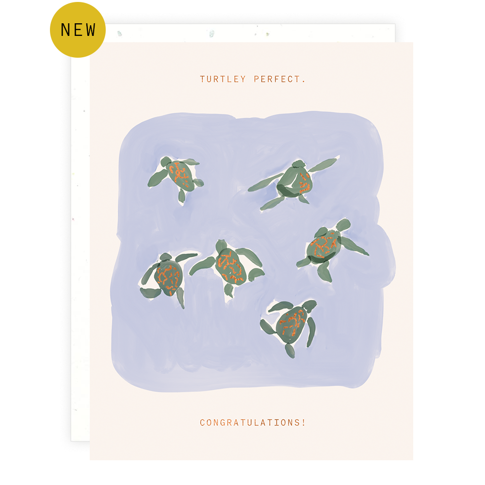 Turtley Perfect