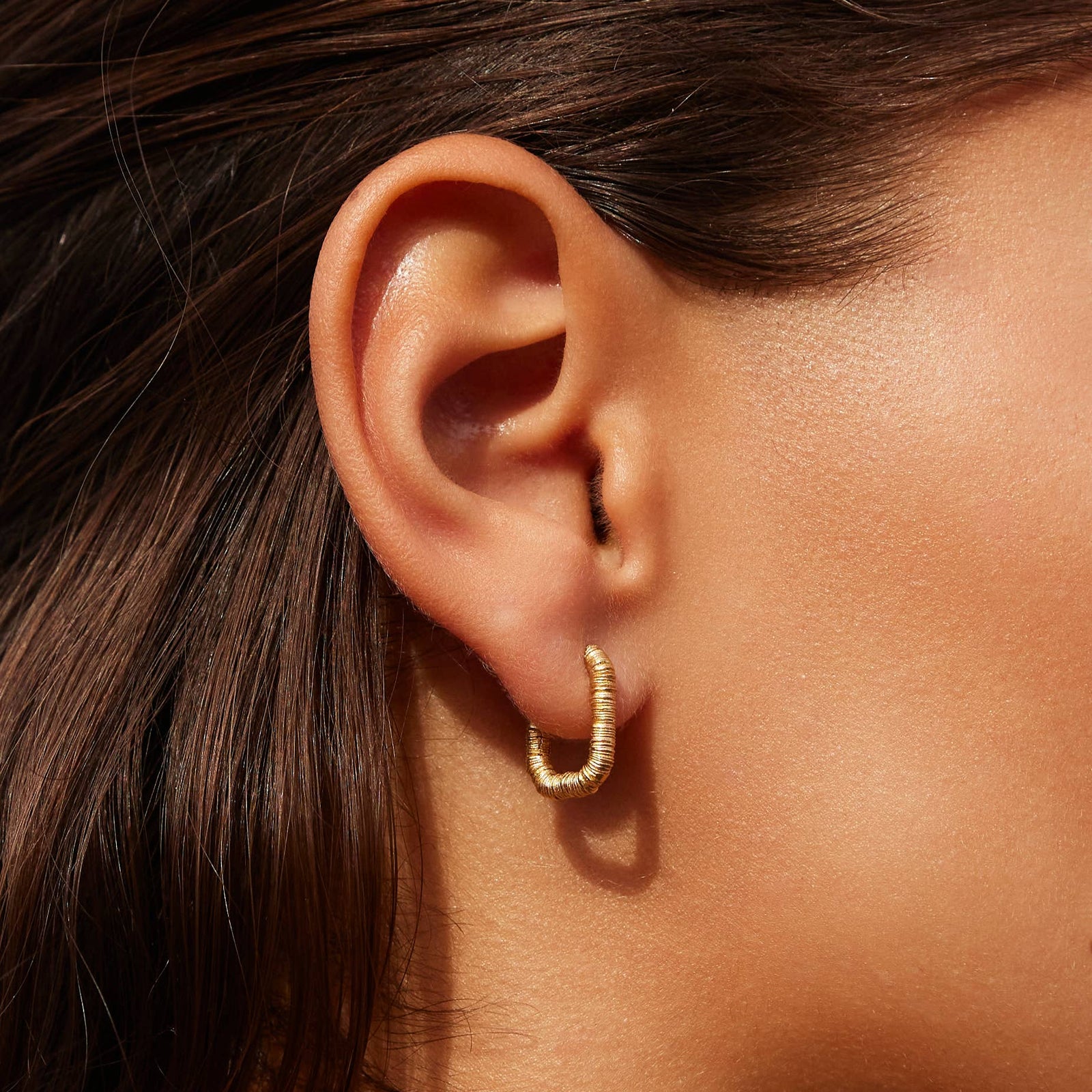 Lecco Earrings