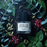 Dreams and Nightmares Eau de Parfum