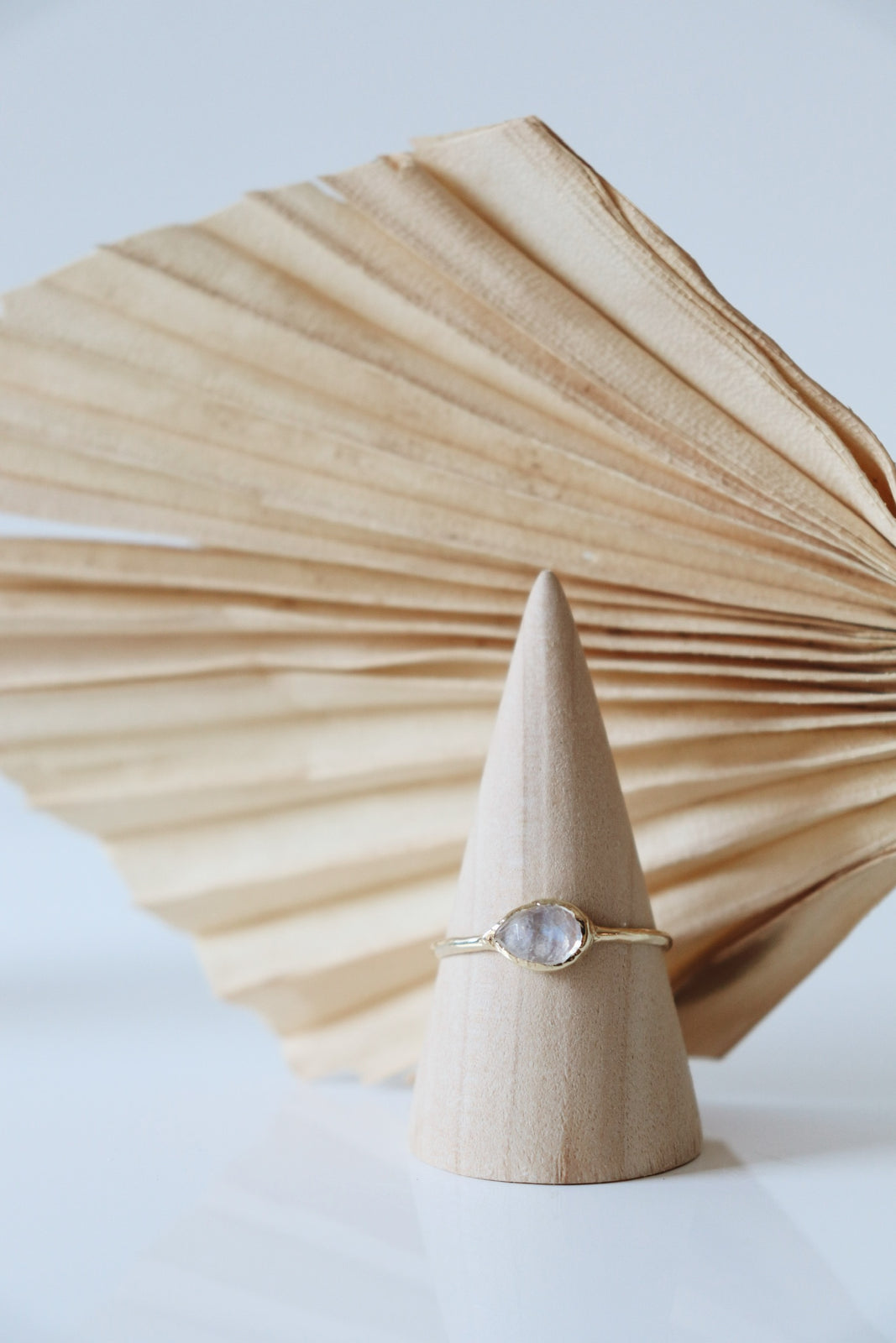 Compass Ring Moonstone in Yellow Gold